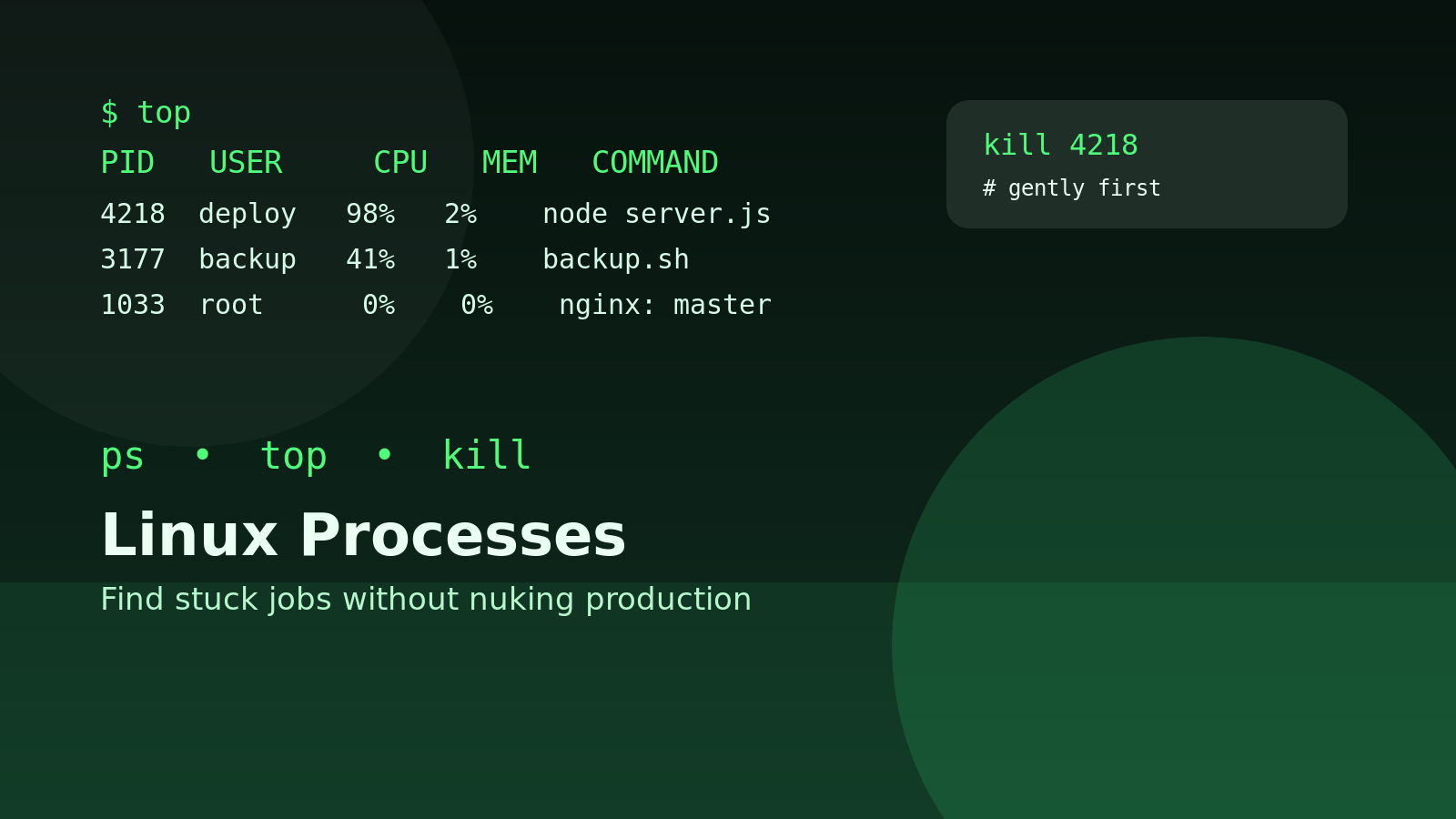 ps, top, and kill Explained for Beginner Linux Admins