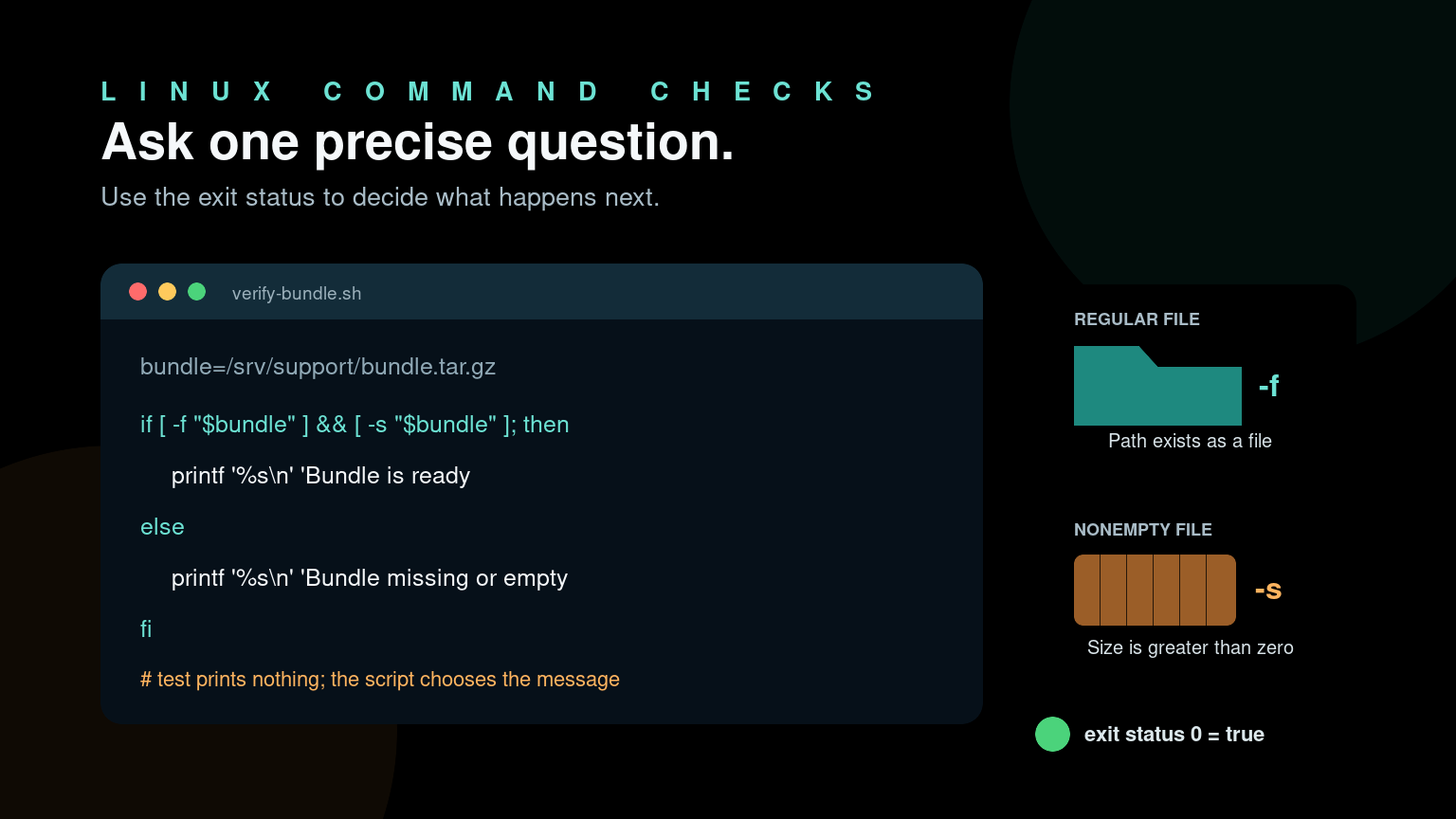Linux test Command: Check Files and Values