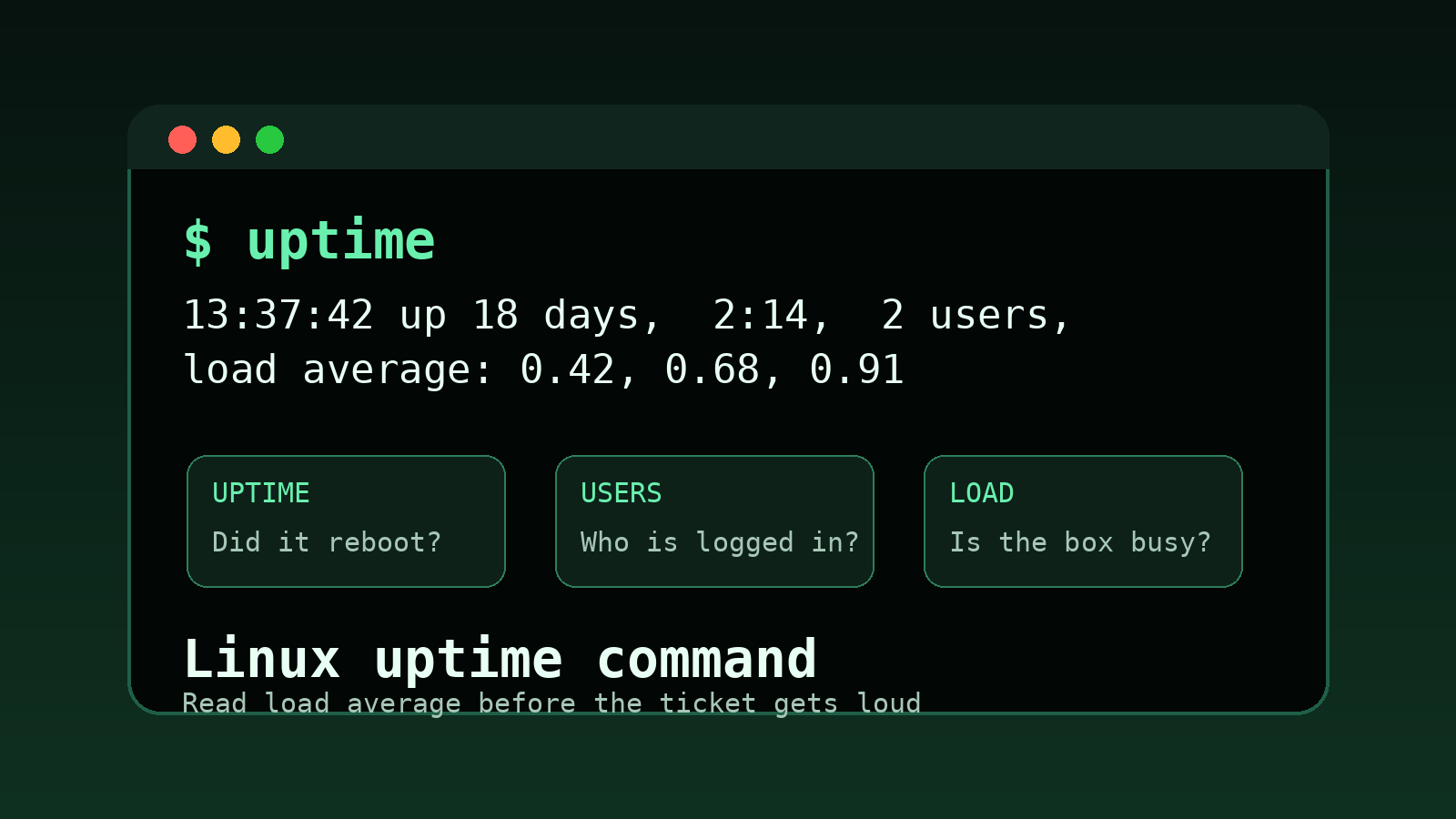 Linux uptime Command Explained for Beginners