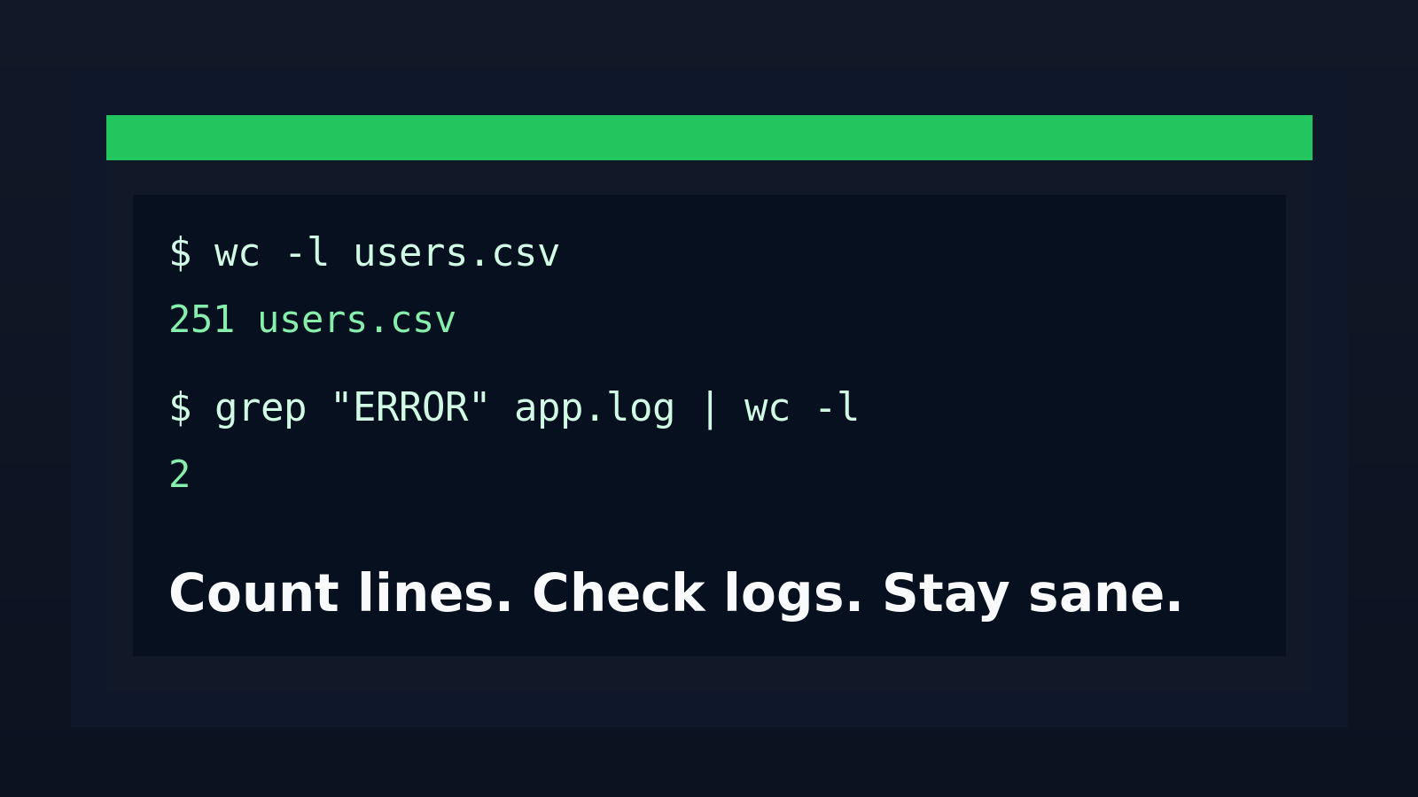 Linux wc Command for Beginners: Count Lines, Words, and Bytes