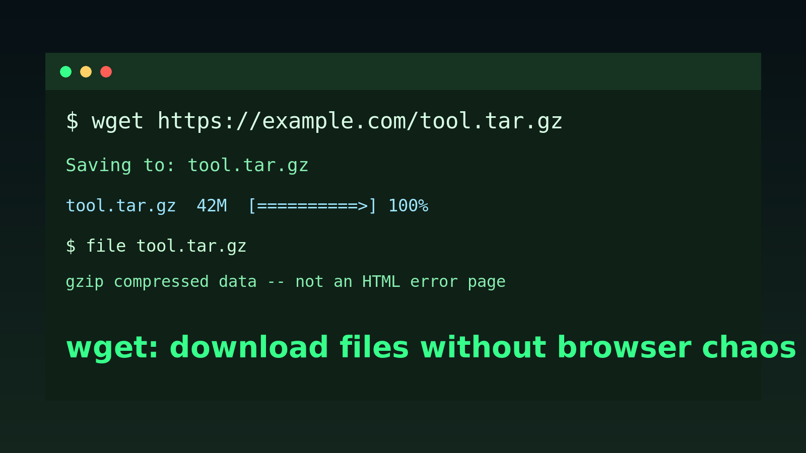 Linux wget Command for Beginners: Download Files Safely